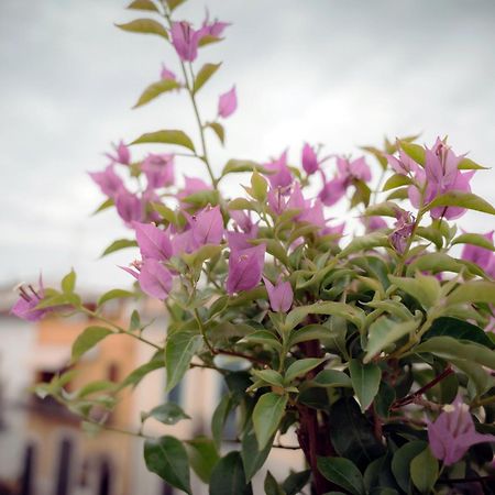 La Terrazza Dei Gemelli - Casa Vacanze Venosa Exteriér fotografie